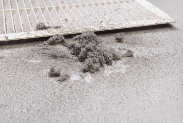 Best Home Air Vent Cleaning  in Miami, FL