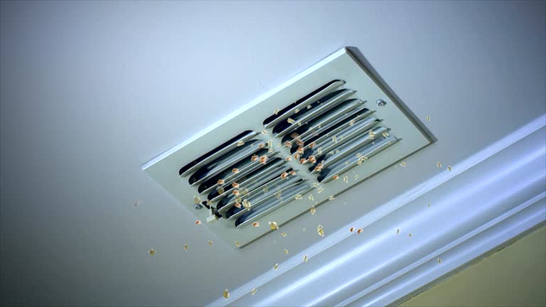 Best Emergency Air Duct Cleaning  in Miami, FL